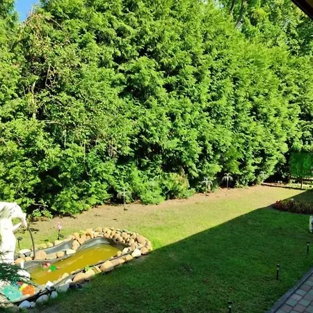Nuoma Prie Juros Apartment